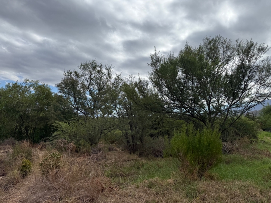 5 Bedroom Property for Sale in Ladismith Western Cape